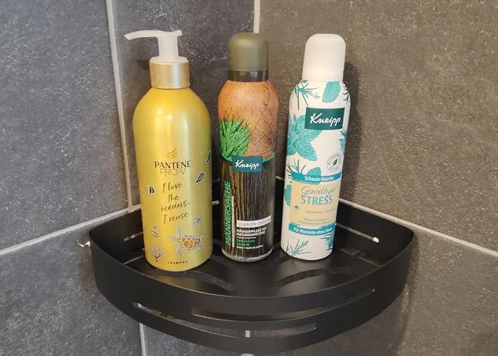 Διαμέρισμα In